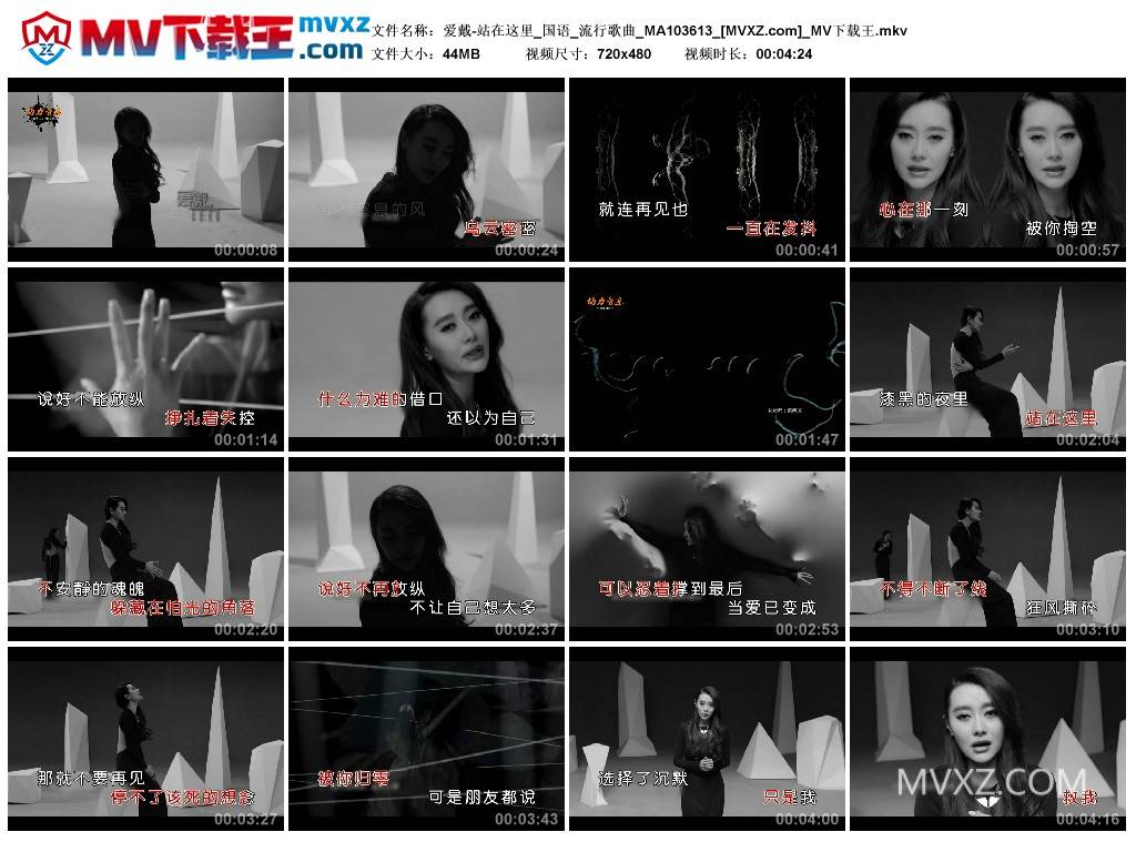 爱戴-站在这里_国语_流行歌曲_MA103613